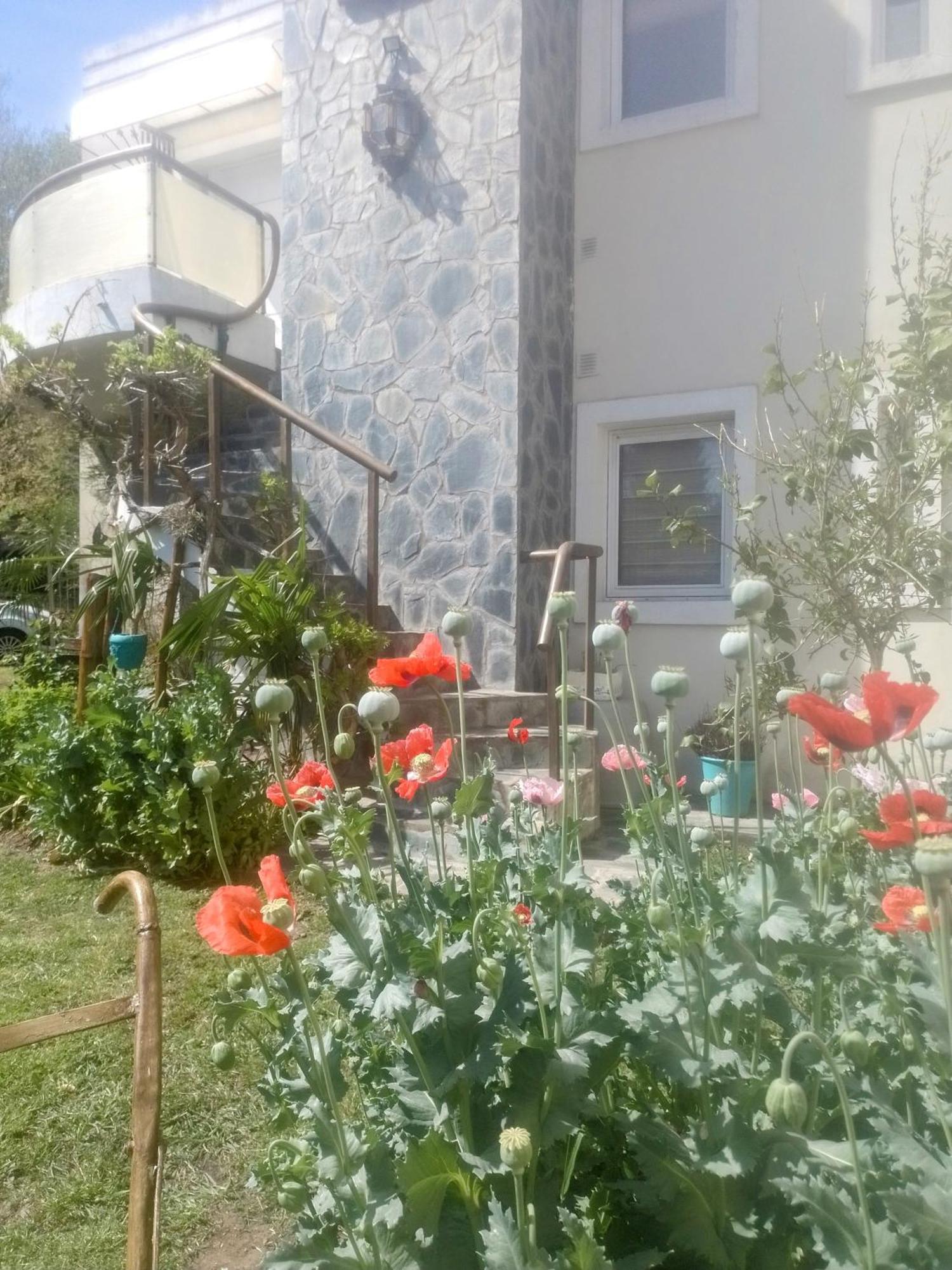 Apartment 'rincon De Onena' Monoambiente Tandil