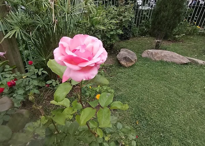 \'Rincon De Onena\' Monoambiente